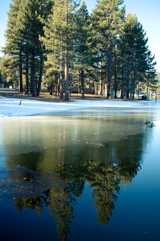 Reflecting Pines on Big Bear Lake