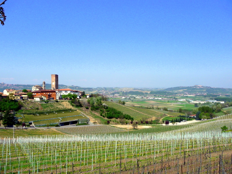 barbaresco.jpg