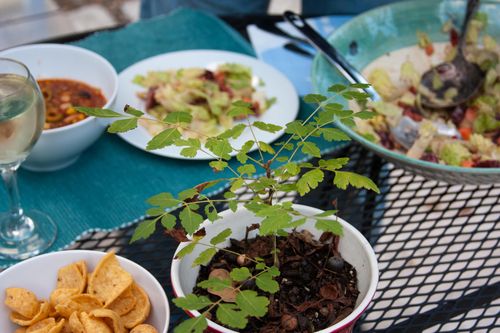 1011_alfrescodinner3