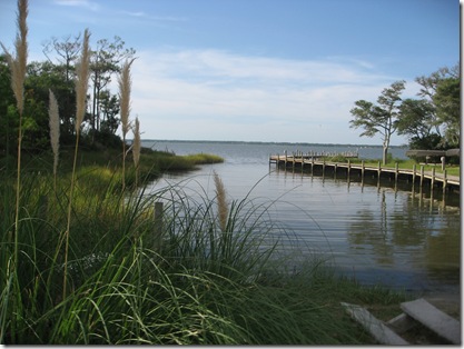 IMG_0590 IMG_0590