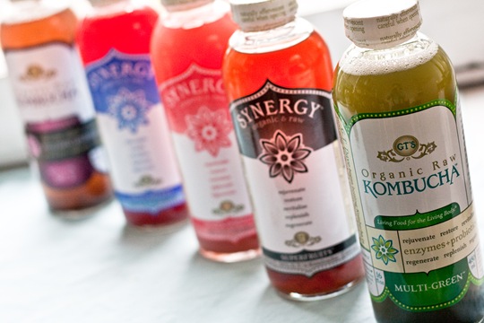 synergy kombucha coupon