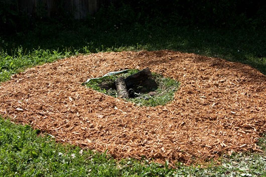 Diy 45min Fire Pit Edible Perspective