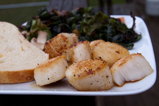 scallops-3