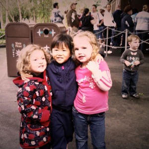 IMG_0073 IMG_0073