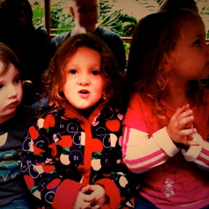 IMG_0078 IMG_0078