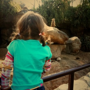IMG_0215 IMG_0215