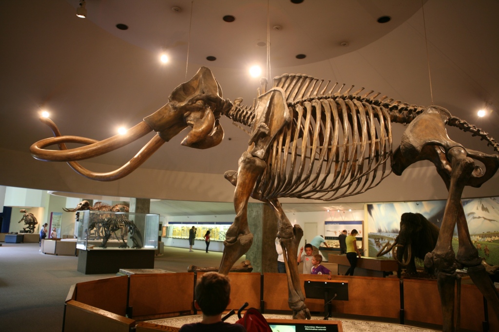 tarpits 10