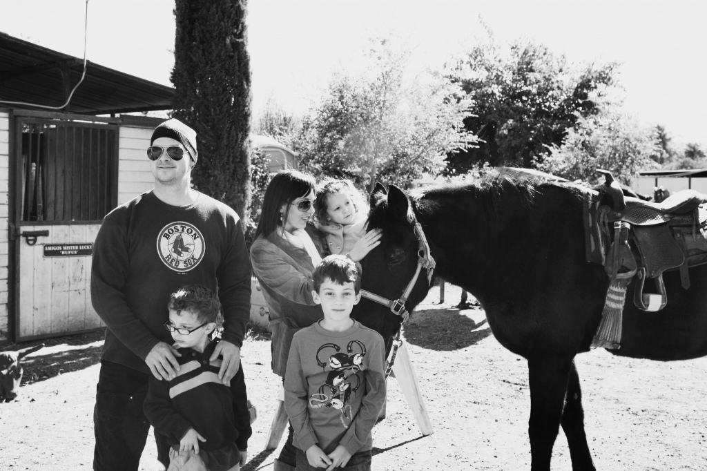 horse 12