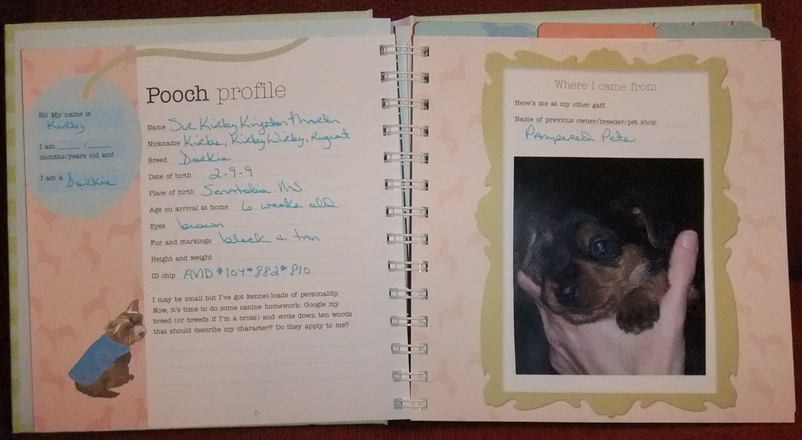 kirby s puppy book the canine chef cookbook