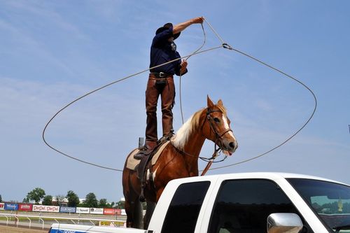 Cowboy on horse with lasso