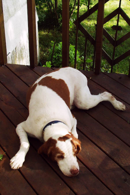 031008-duffy.jpg