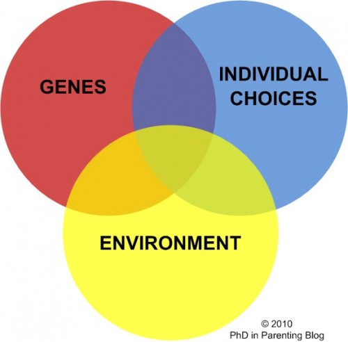 Genes - Environment - Individual Choices