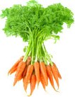 carrots.jpg