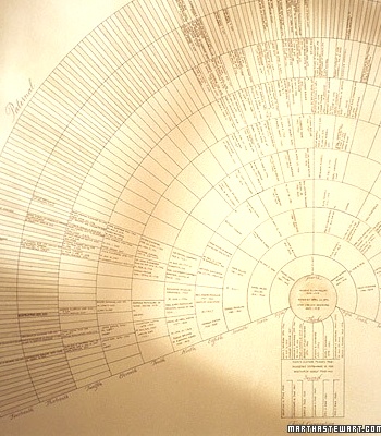 Martha Stewart Genealogy Fan Chart