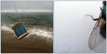 1626023717_802523fb6e_o