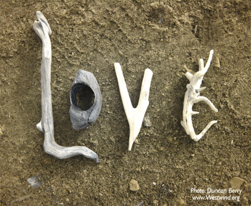 Organiclove