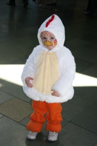 chicken