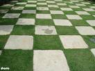 CHESSBOARD GREEN