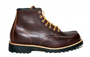 redwing_02 redwing_02