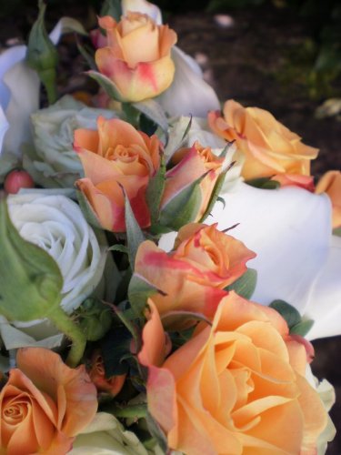 Bridal Flowers