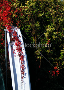 ist2_7548576-stacked-small-row-boat-draped-with-red-leaves