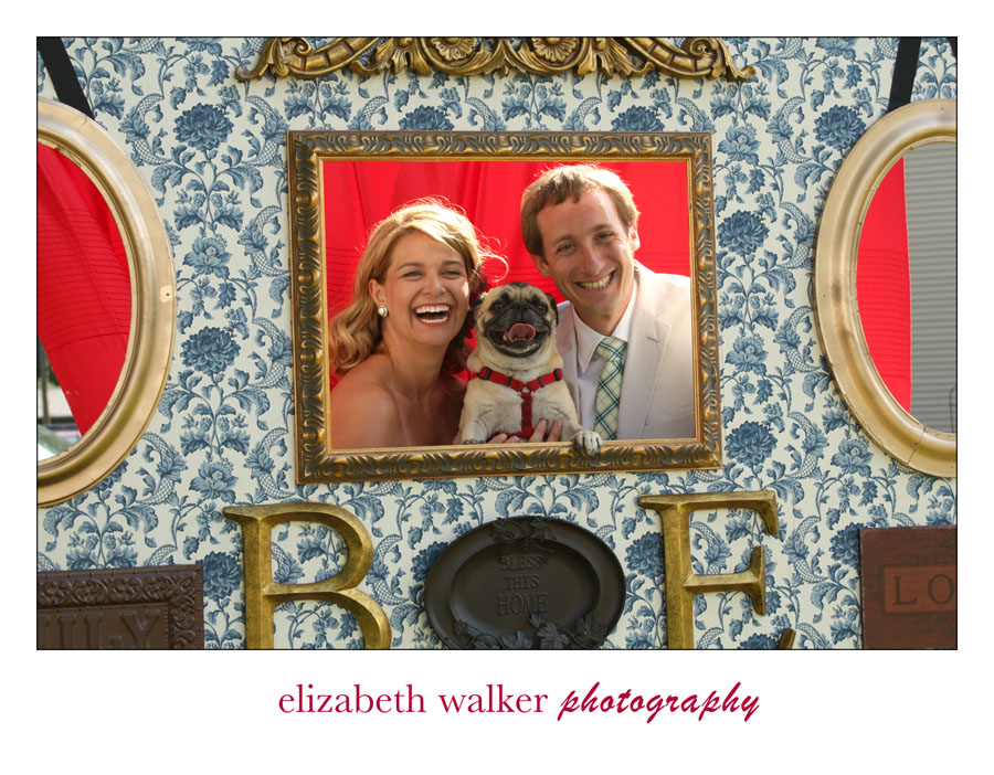 photo-wall-elizabeth-walker-photography