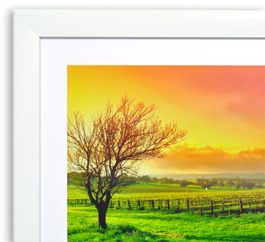 White Switchframe