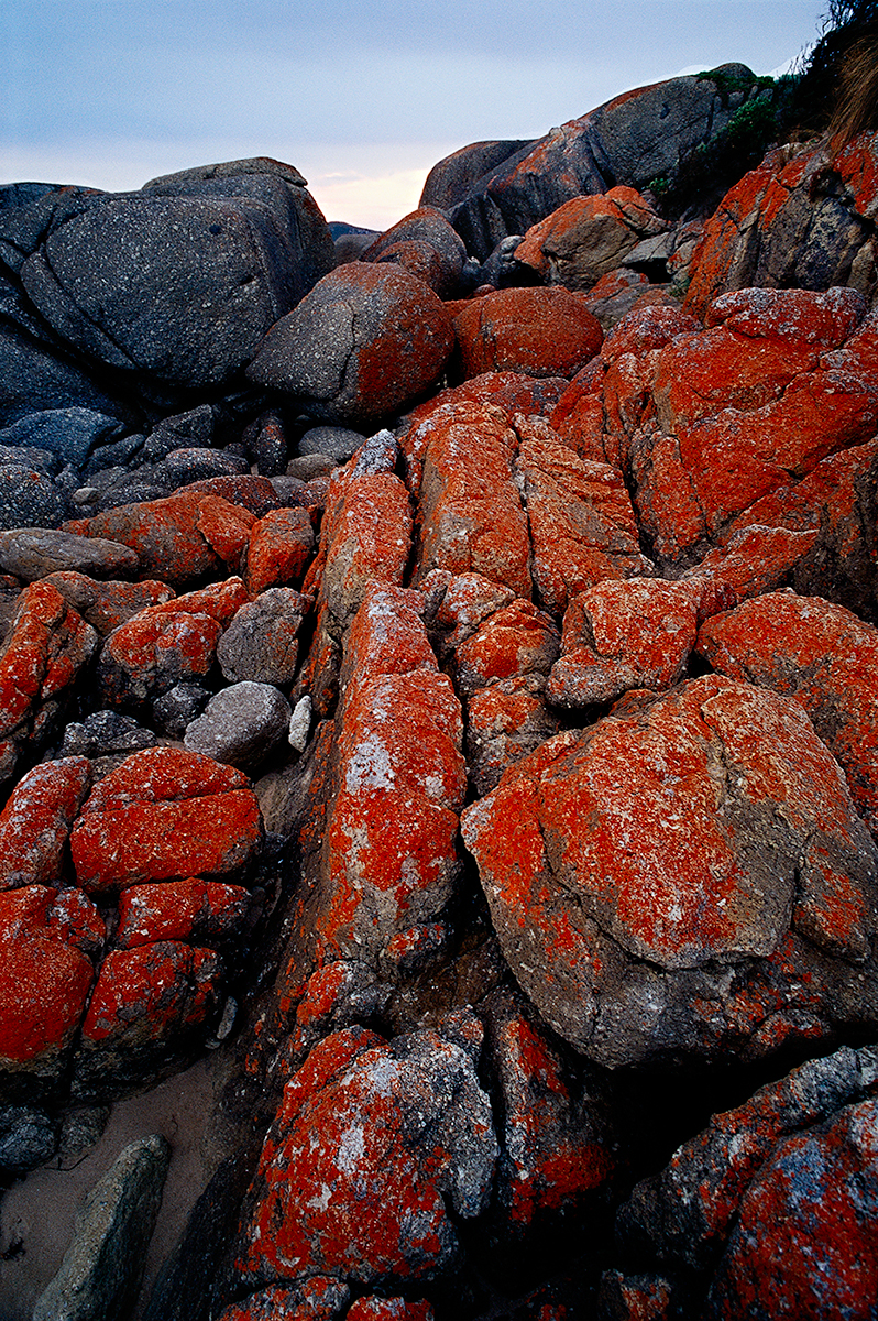 Bleached Rocks_Whiskey Bay_Wilsons Promontory National Park Leica M7 camera and Leica 21mm f2.8 Elmarit lens with Fuji Velvia 100F film