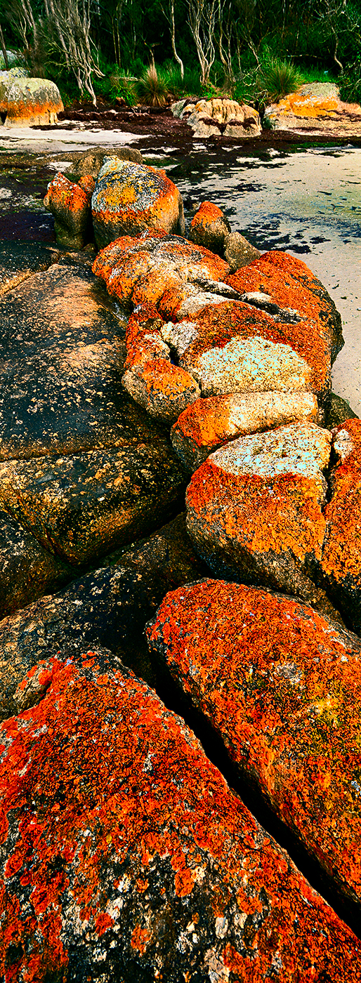Orange Rocks_Duck Point Orange Rocks_Duck Point
