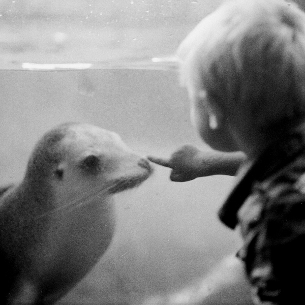 a boy and a seal 2