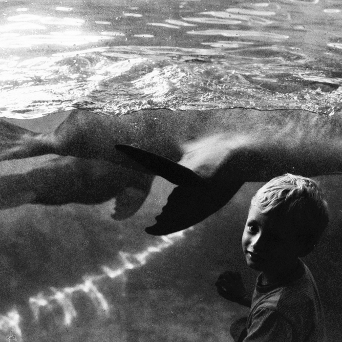 a boy and a seal 3