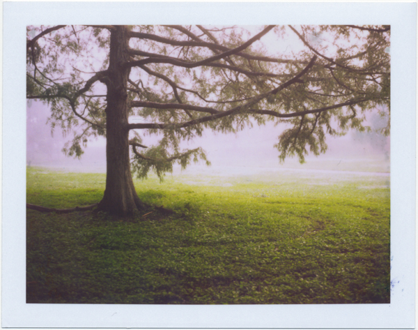 mist