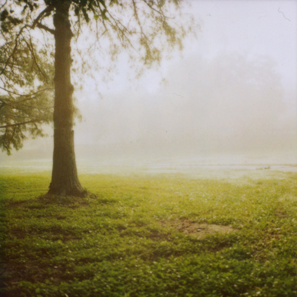 morning fog