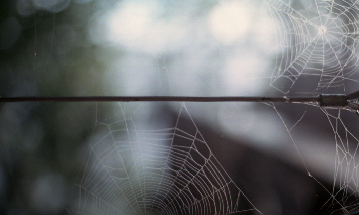web