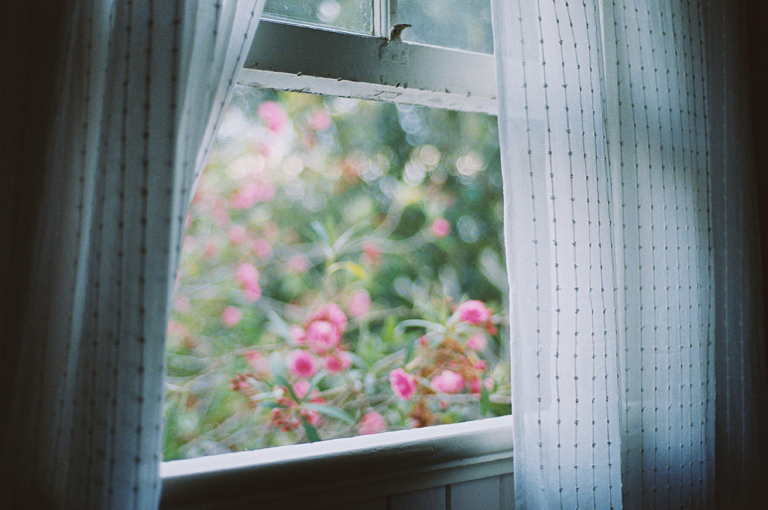 window window