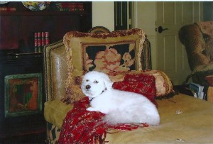 Smith Millie