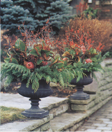 Urn w greens, branches web