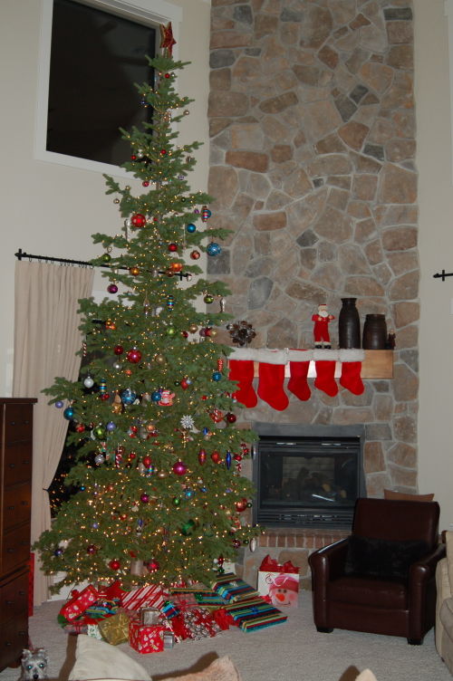 Christmas 2008 - tree with presents