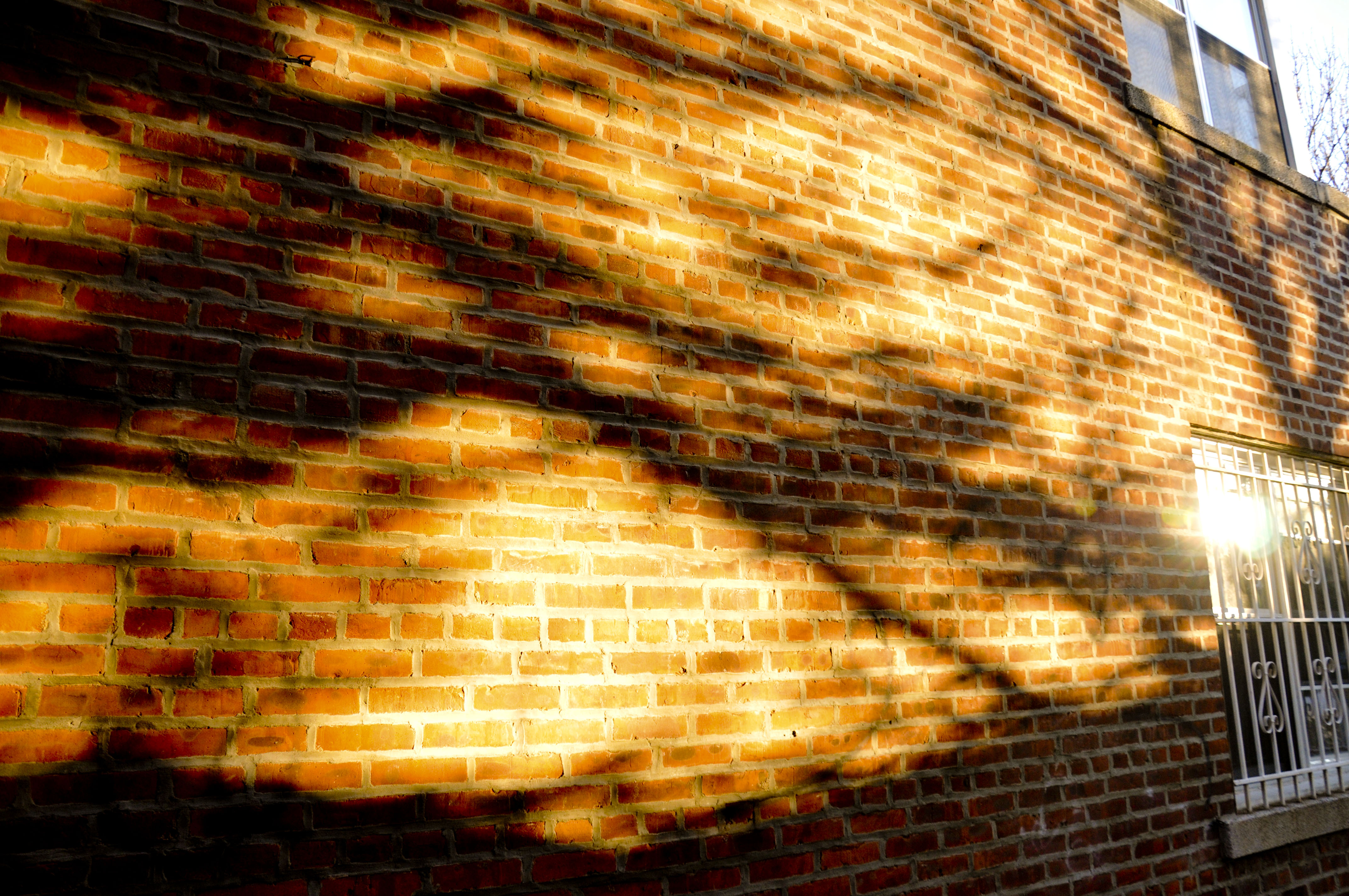 Fiery Shadow Fiery Shadow
