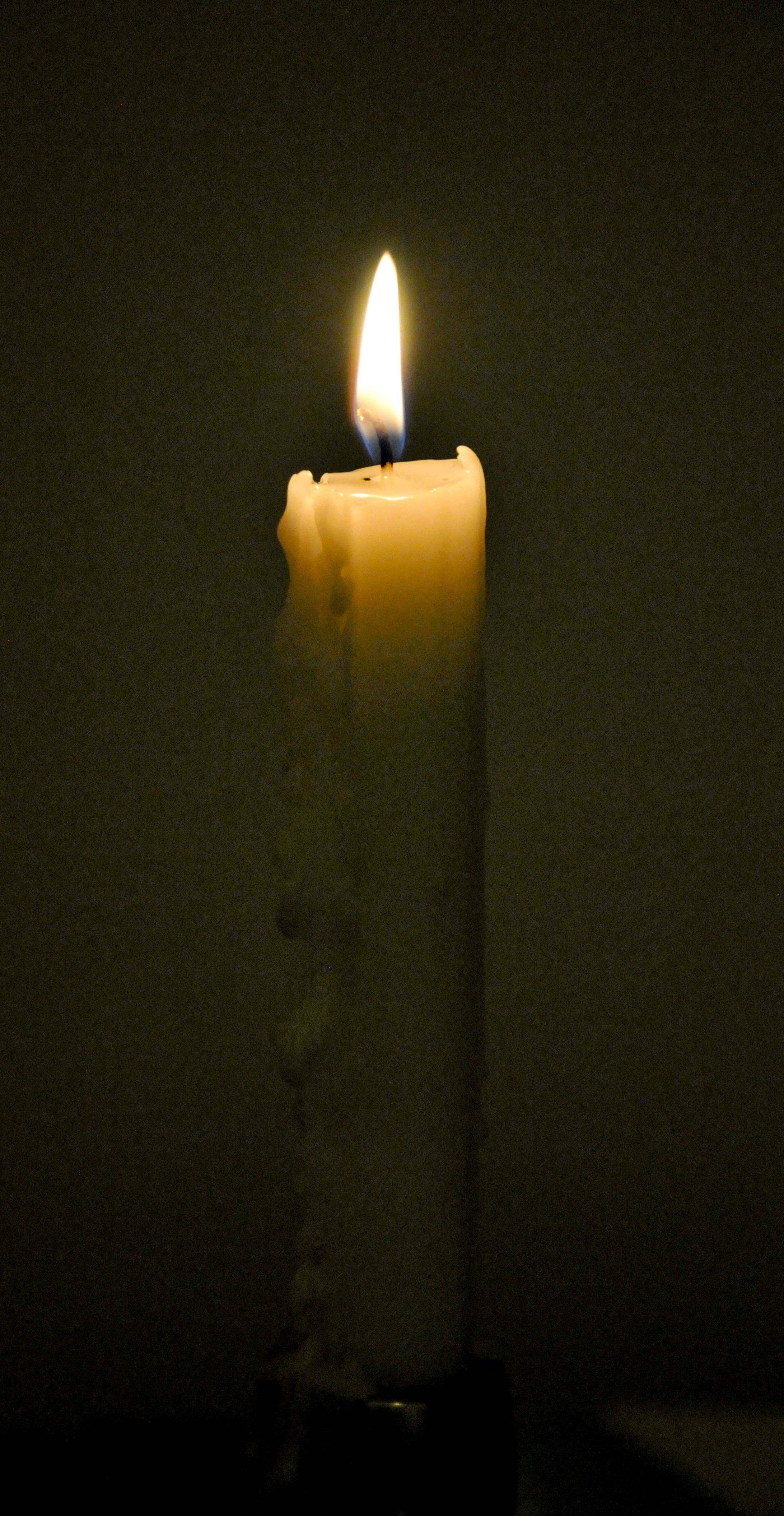 ARI_4561_1 ARI_4561_1