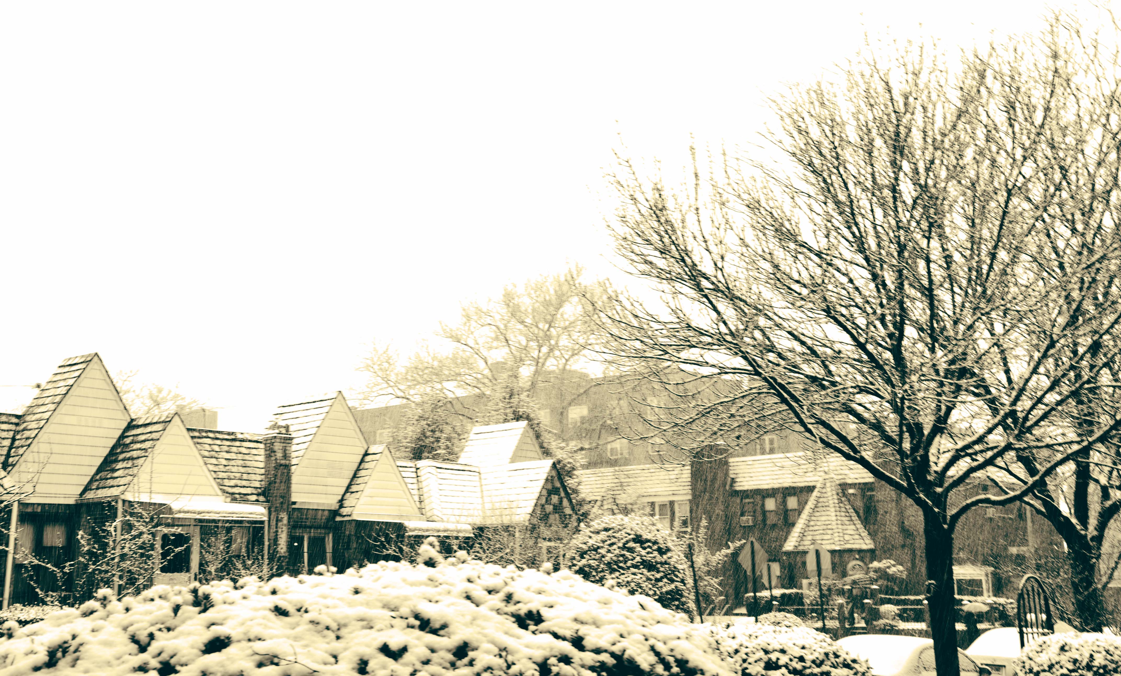 Still January