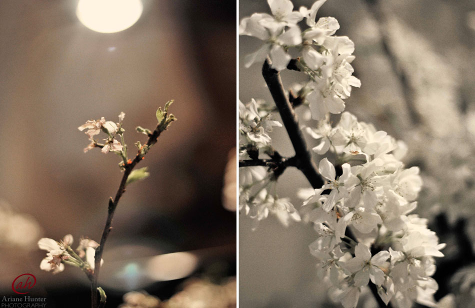 FlowerDetails
