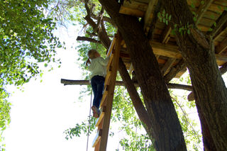 Picking apples tree house01