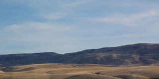 Wheat fields in nov2008-11-23