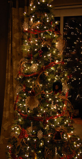 X-mas tree 20082008-12-05