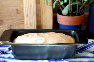 Artisan bread in 5 minutes a day2009-02-08