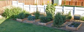 Garden from the deck 092009-08-20