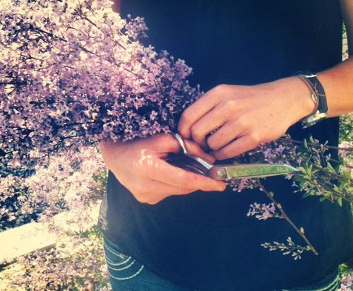 Picking flowers 2