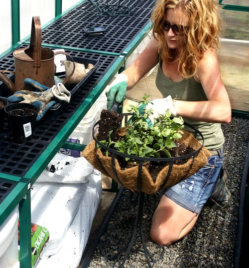 Working in the greenhouse