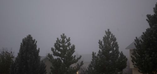 Foggy day Foggy day
